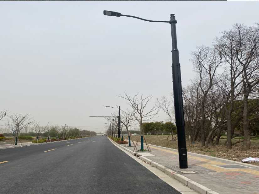 镇原县上海综合杆 太阳能路灯工程